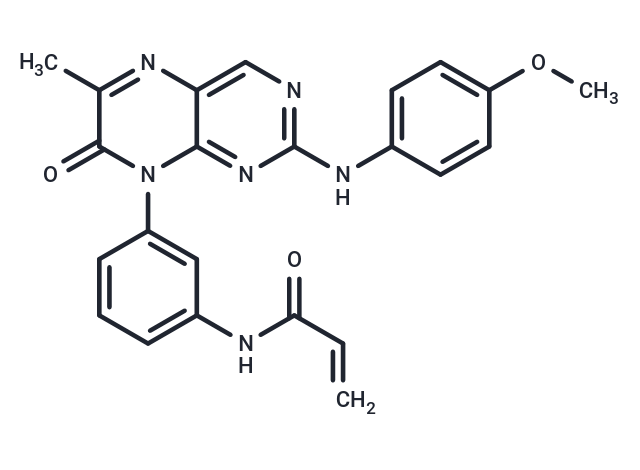 EGFR-IN-40