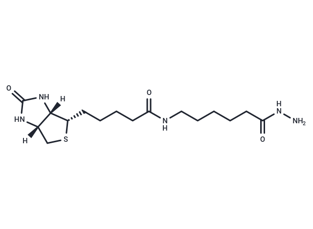 Biotin LC hydrazide