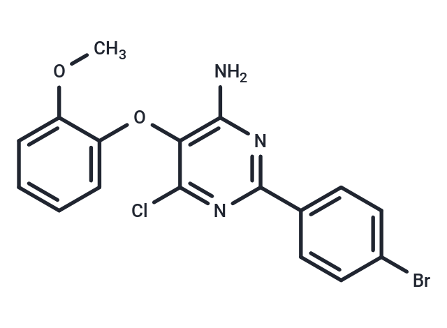 DHPS-IN-1