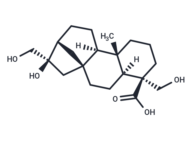 Kauran-18-oic acid, 16,17,19-trihydroxy-, (4α)-