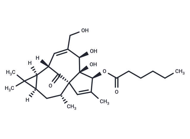 Ingenol 3-Hexanoate