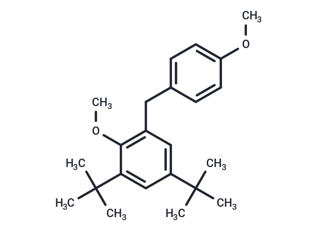 J 2931