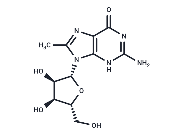 8-Methylguanosine