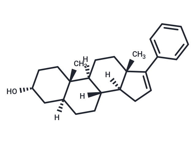 17-PA