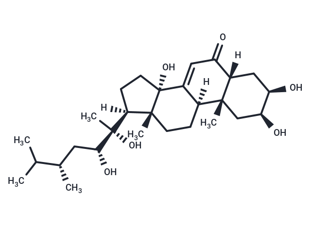 Polyporusterone A