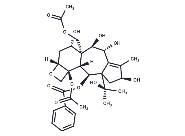 13-O-Deacetyltaxumairol Z