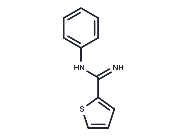 N-phenylthiophene-2-carboximidamide