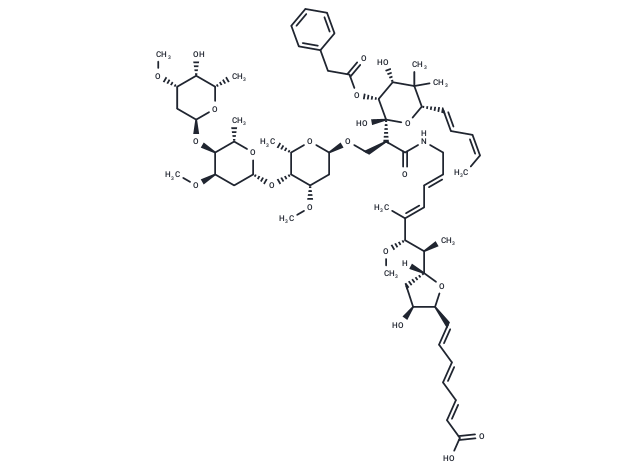 Phenelfamycin E