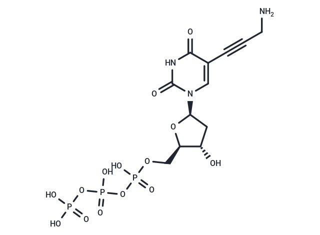 5-PA-dUTP