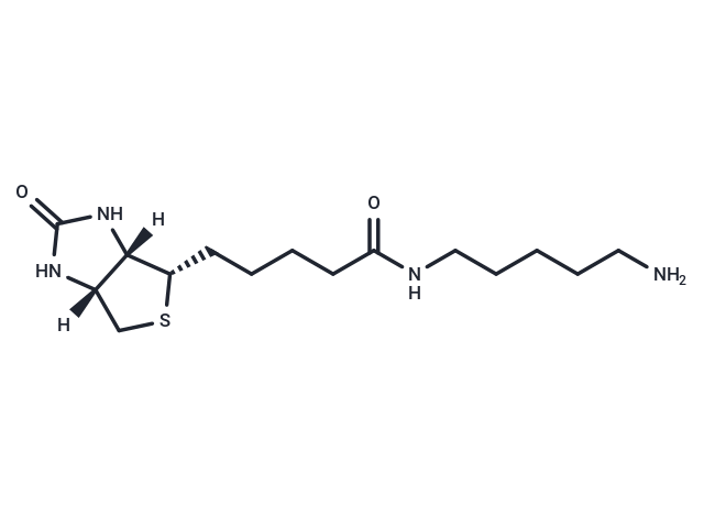 5-(Biotinamido)pentylamine