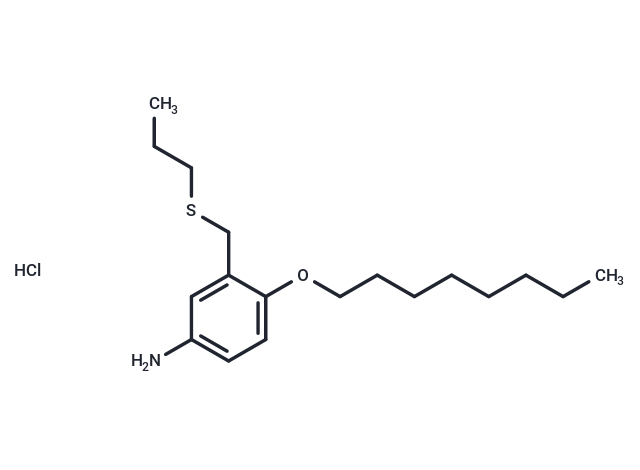 m-Toluidine, 4-(octyloxy)-alpha-(propylthio)-, hydrochloride