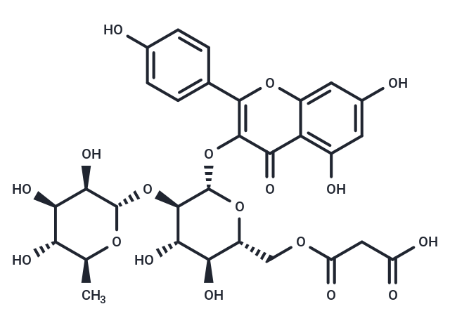 Kaempferol 3-O-(2′′-O-α-rhamnosyl-6′′-O-malonyl-β-glucoside)