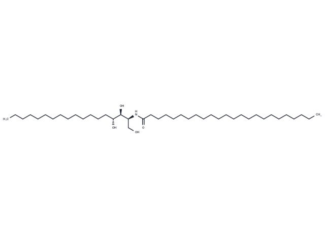 C24 Phytosphingosine (t18:0/24:0)