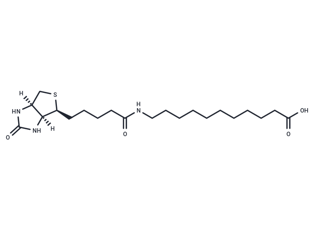 (+)-Biotin-SLC