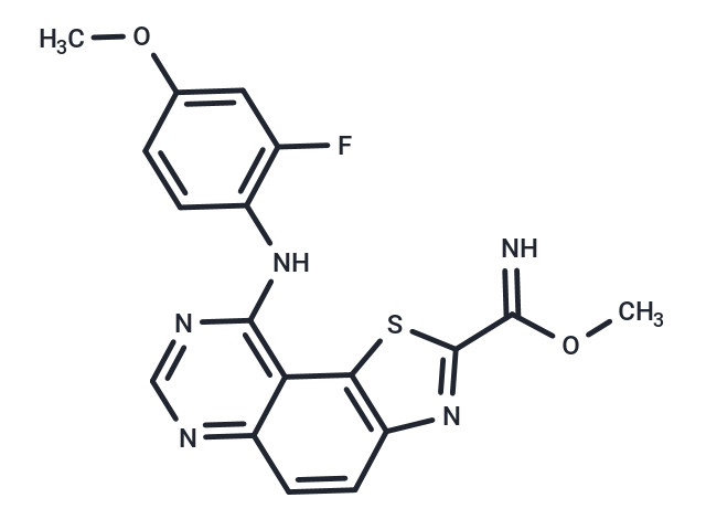 EHT 1610