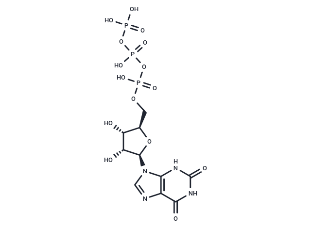 Xanthosine-5'-Triphosphate