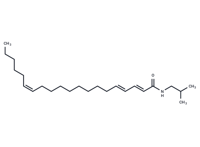 2,4,14-Eicosatrienoic acid isobutylamide