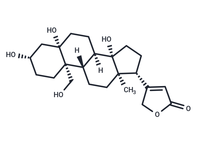 Strophanthidol