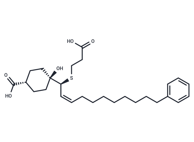 MDL-28753