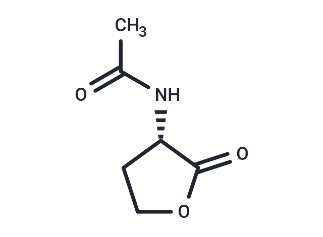 Acetyl-L-Homoserine lactone
