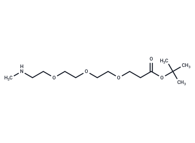 Methylamino-PEG3-t-butyl ester