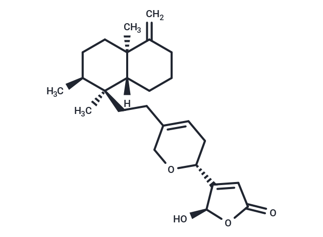 Cacospongionolide B