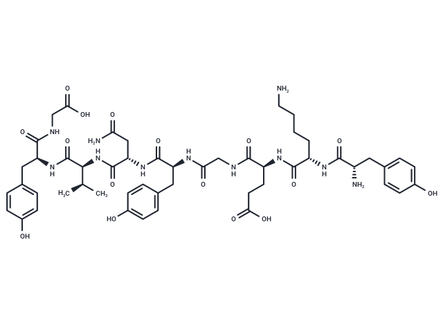 GluR23Y