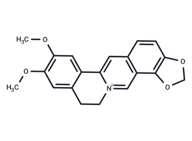 Epiberberine