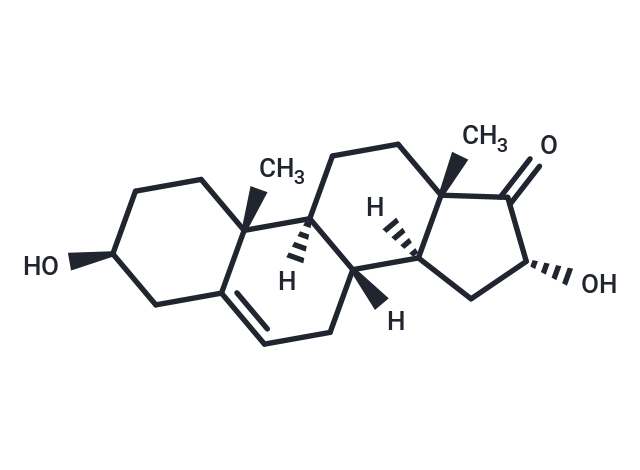 16α-hydroxy Dehydroepiandrosterone