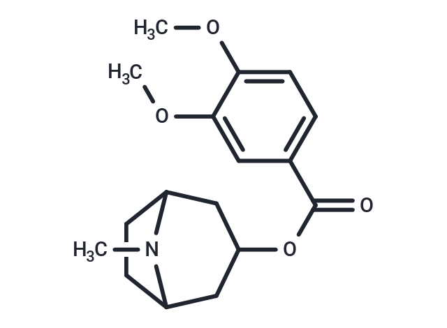 Convolamine