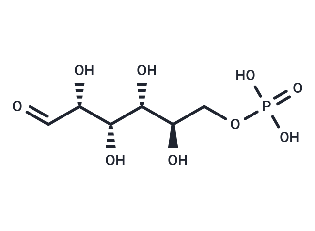 D-Glucose 6-phosphate
