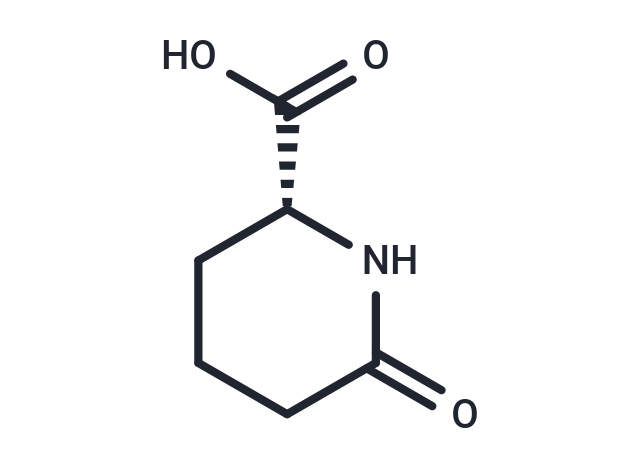 D-Pyrohomoglutamic Acid