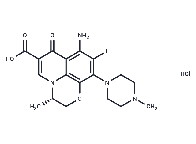 Antofloxacin Hydrochloride