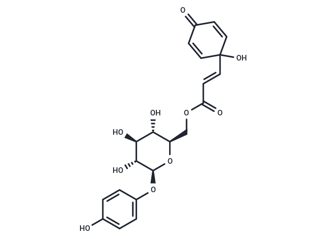 Robustaside D