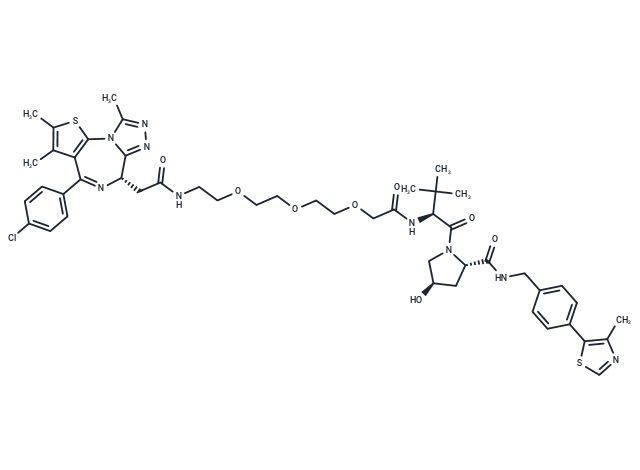 MZ 1