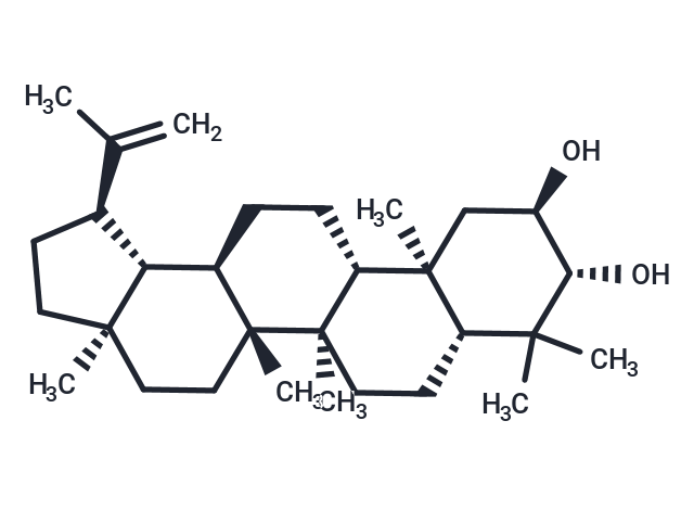 Lup-20(29)-ene-2alpha,3beta-diol