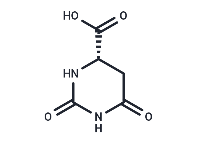 L-Dihydroorotic acid