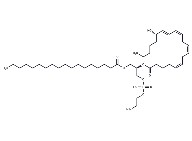 1-Stearoyl-2-15(S)-HETE-sn-glycero-3-PE