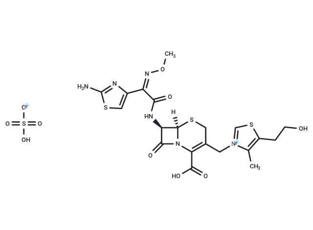 CS 461