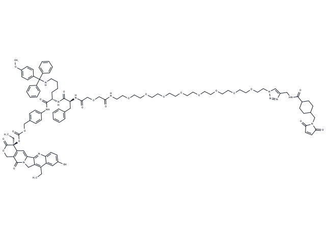 CL2-MMT-SN38