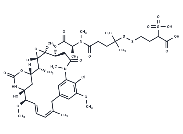 Sulfo-PDBA-DM4
