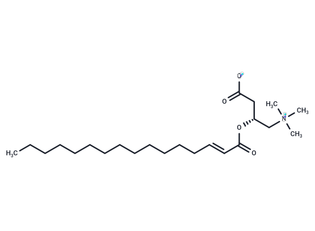 trans-2-Hexadecenoyl-L-carnitine