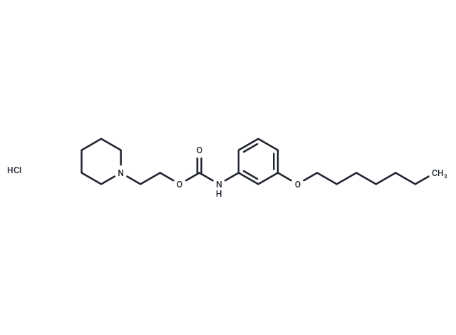 Carbanilic acid, m-heptyloxy-, 2-piperidinoethyl ester, hydrochloride