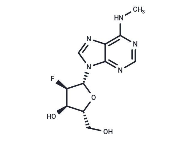 2'-Deoxy-2'-fluoro-N6-methyladensoine