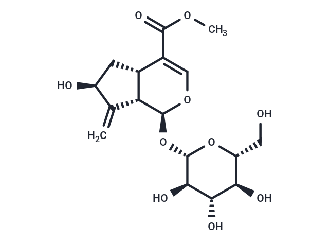 Gardoside methyl ester