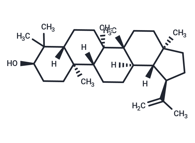 Epilupeol