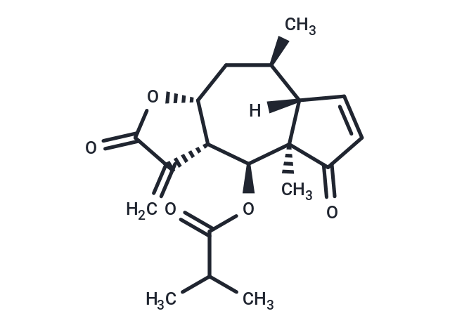 6-O-Isobutyrylhelenalin,Helenalin isobutyrate