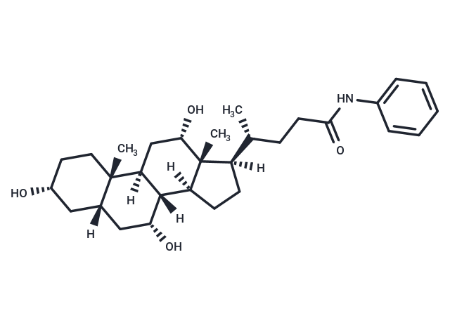 Cholic Acid anilide