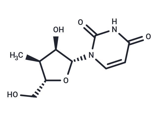 3’-Deoxy-3’-alpha-C-methyluridine