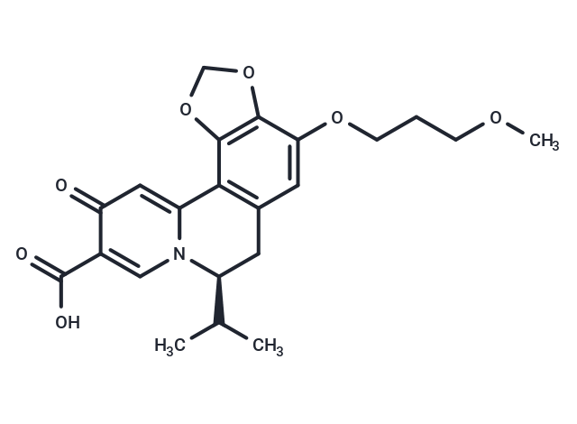 HBV-IN-13